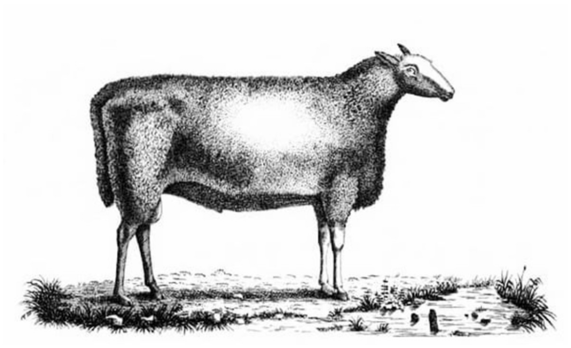 Philosophies 06 00041 g003 Philosophies 06 00041 g003