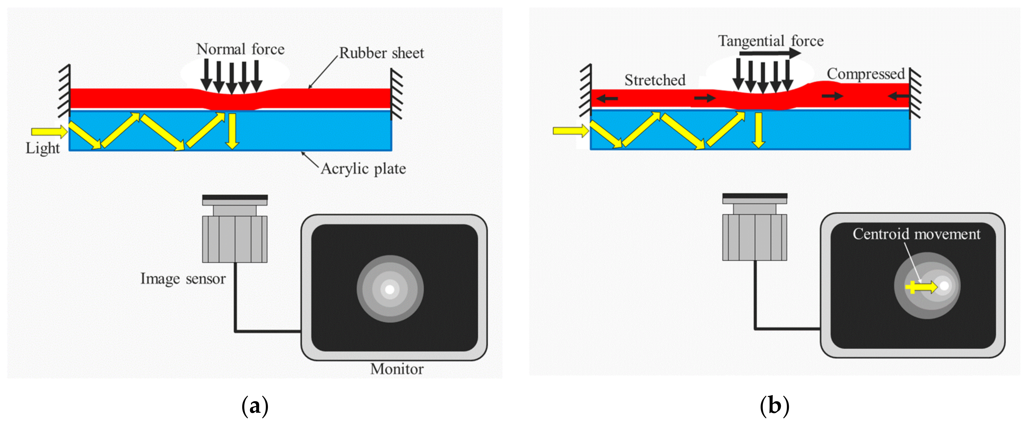 Philosophies 06 00054 g007
