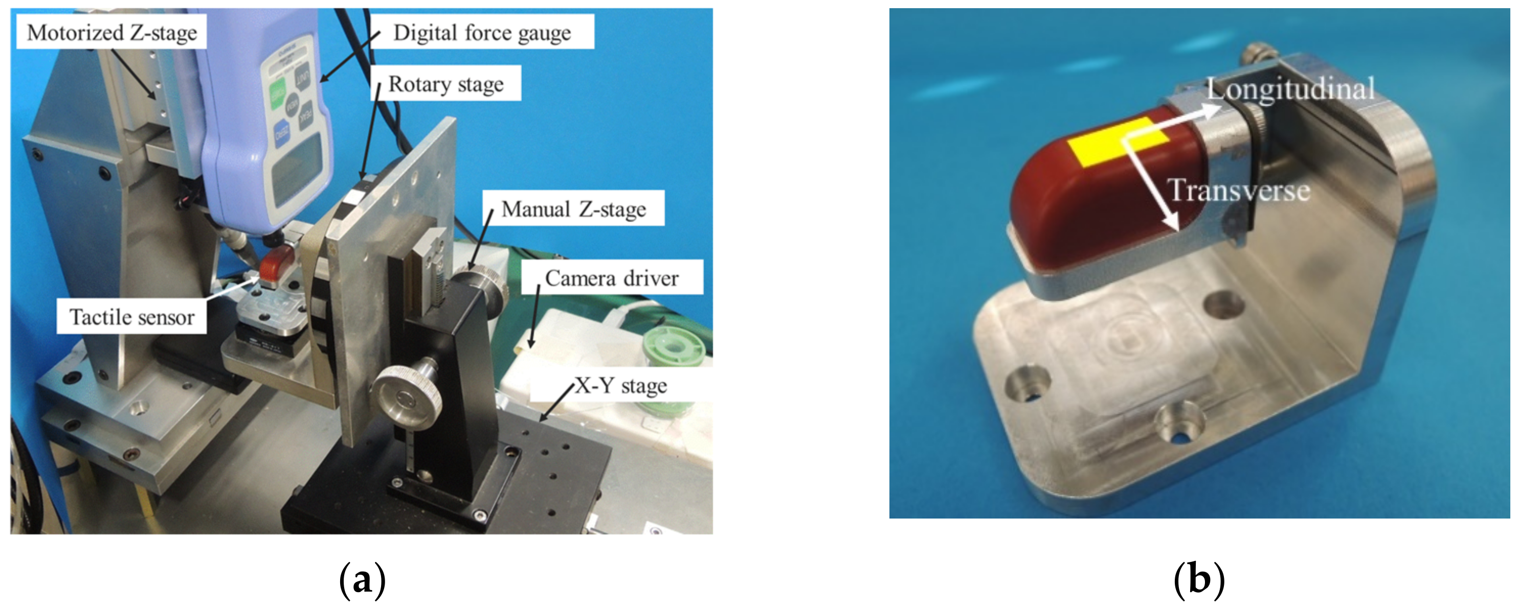 Philosophies 06 00054 g008