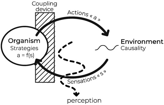 Philosophies | Free Full-Text | Scientific Observation Is Socio