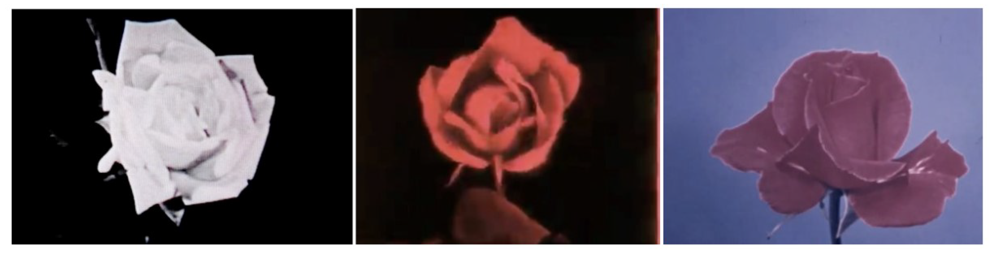 Philosophies 07 00118 g004