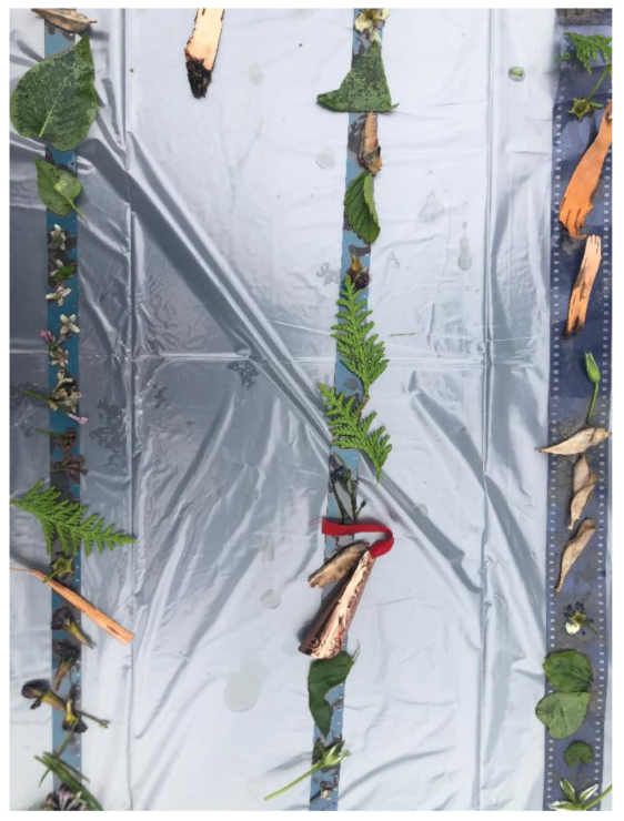 Philosophies 07 00122 g002 Philosophies 07 00122 g002