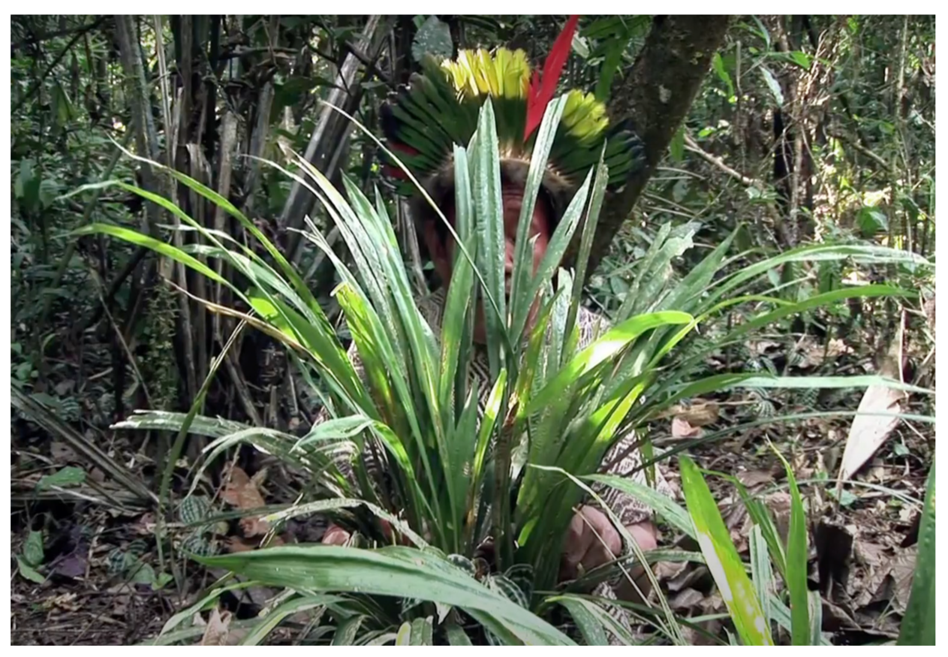 Philosophies 07 00138 g004