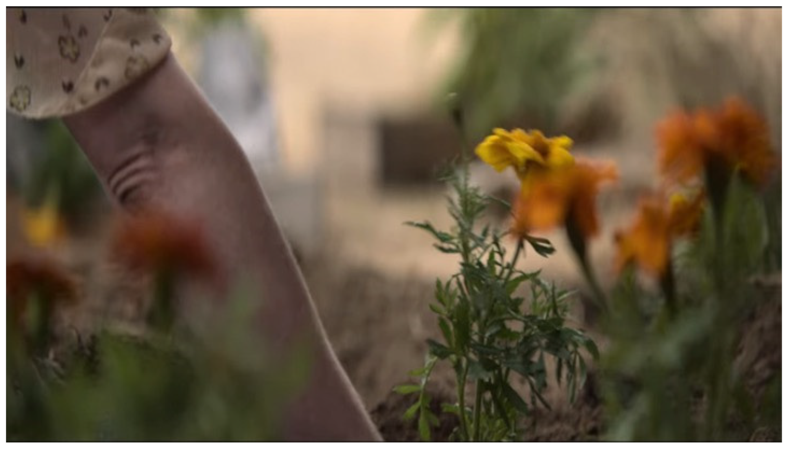 Philosophies 07 00143 g016 550