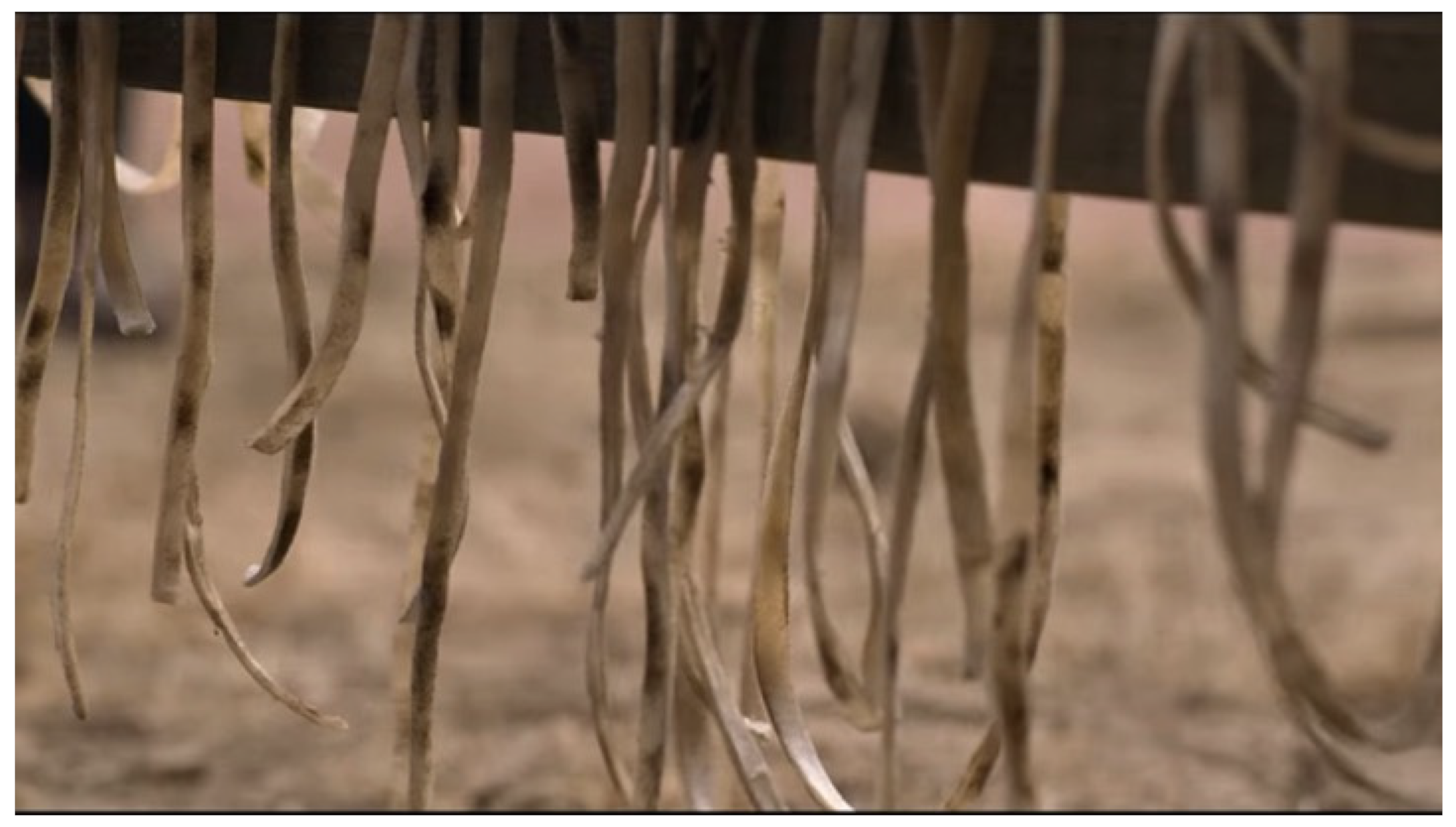 Philosophies 07 00143 g018 550