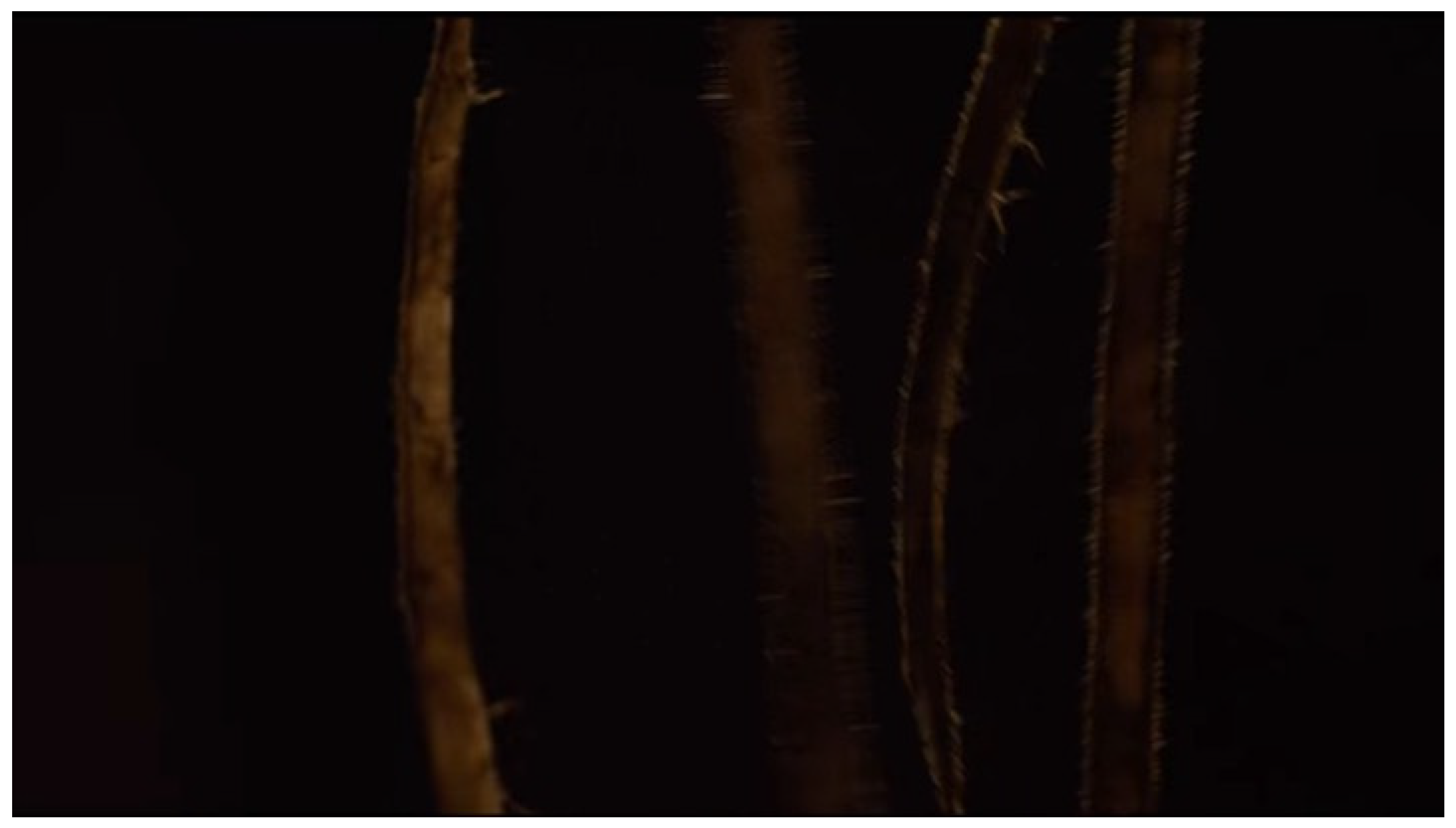 Philosophies 07 00143 g019 550