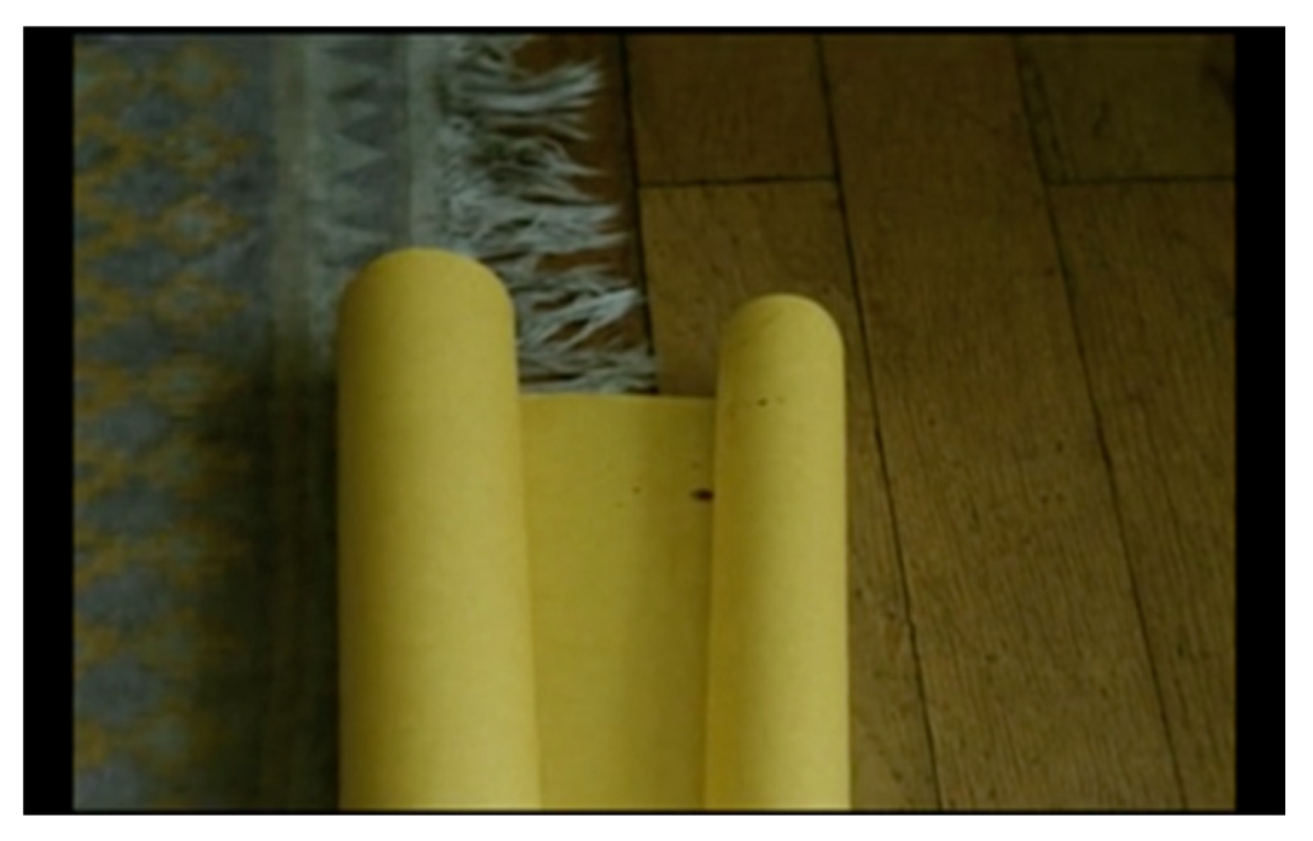 Philosophies 07 00145 g005a