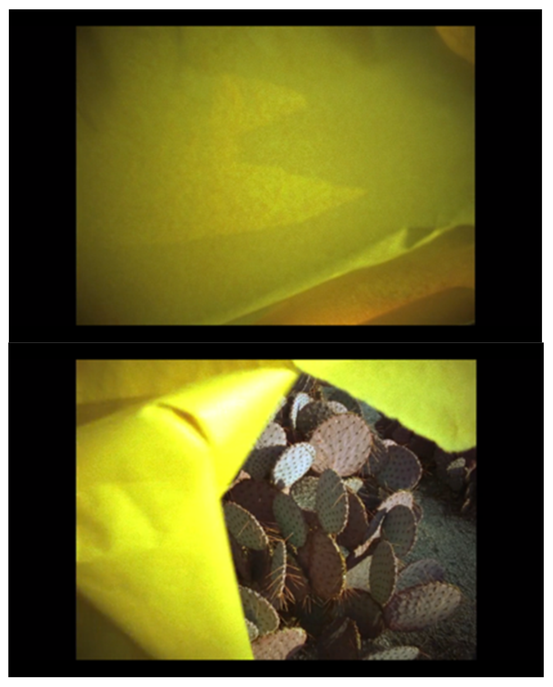 Philosophies 07 00145 g006