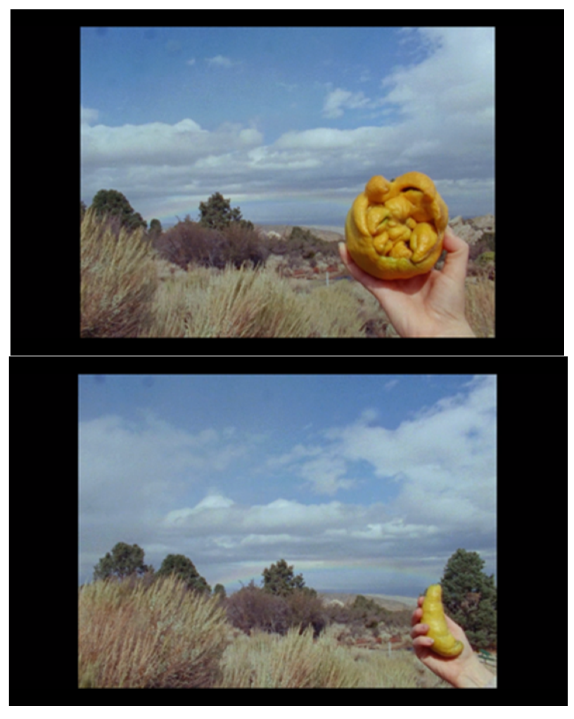 Philosophies 07 00145 g007