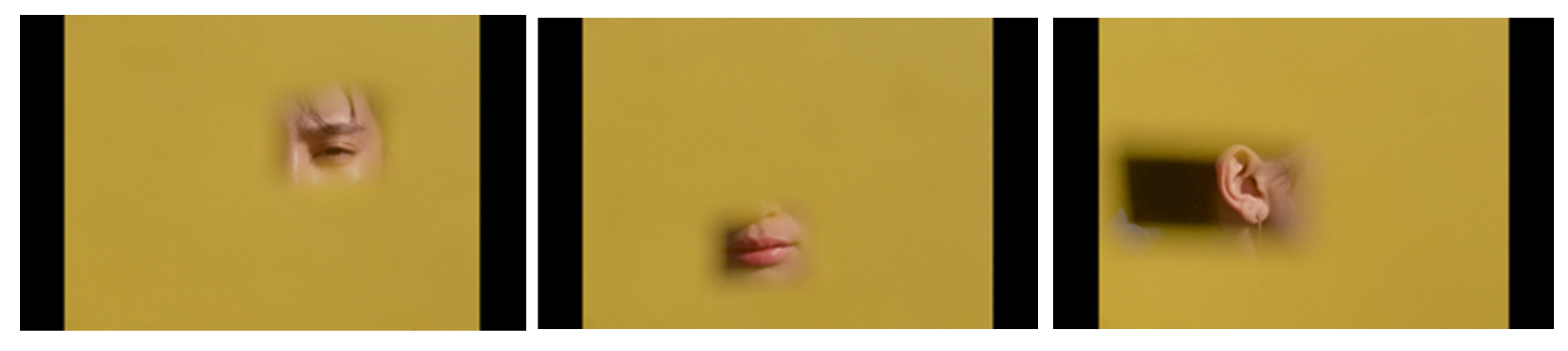 Philosophies 07 00145 g010