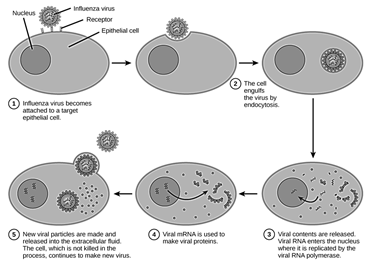 Philosophies 08 00005 i005