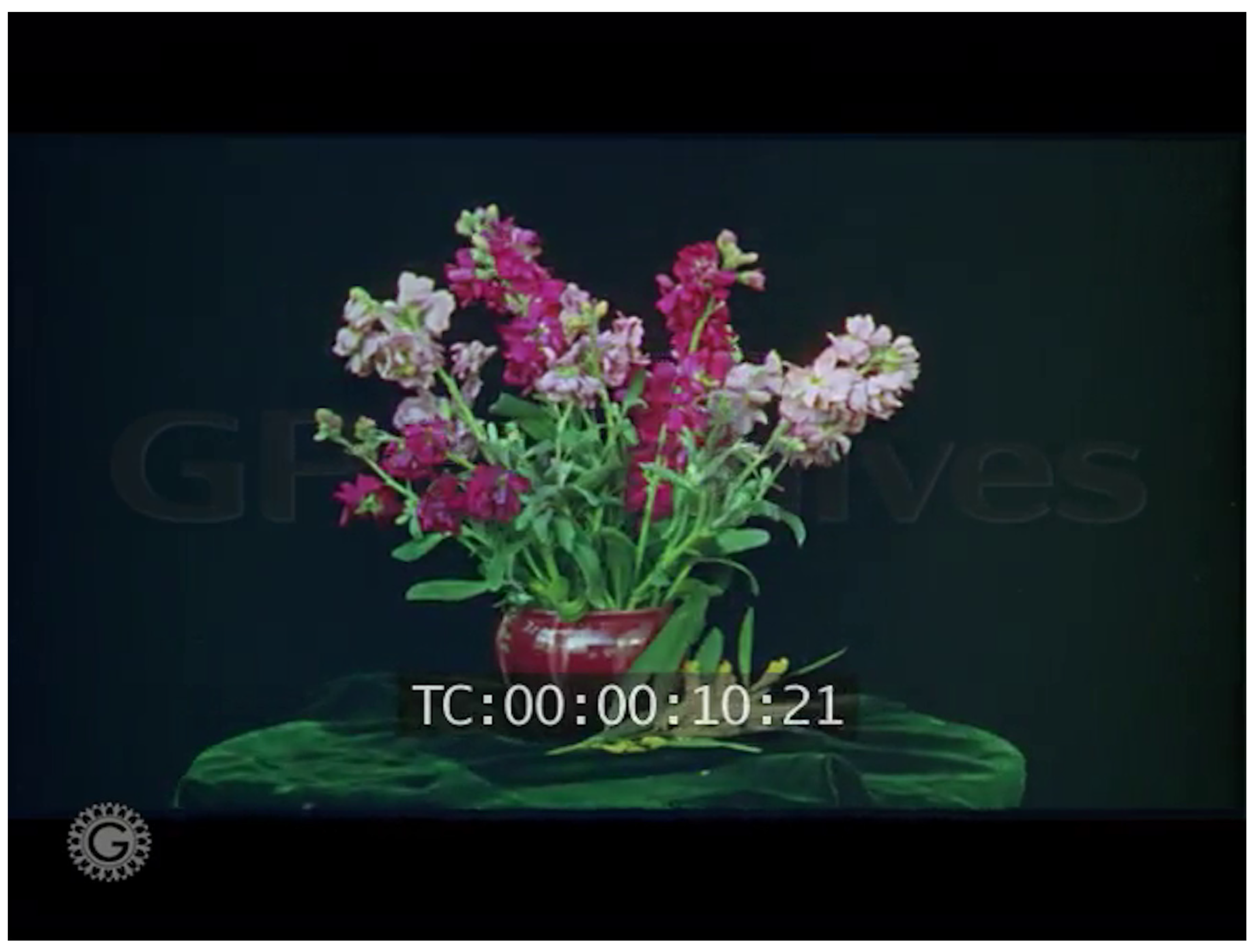 Philosophies 08 00007 g001 Philosophies 08 00007 g001