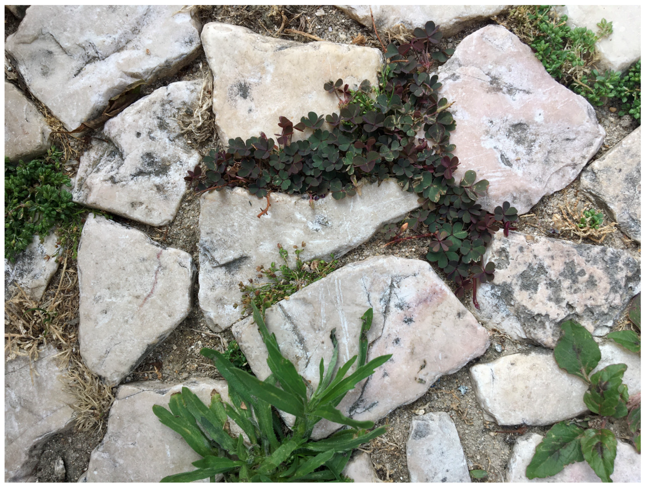 Philosophies 08 00007 g003 Philosophies 08 00007 g003