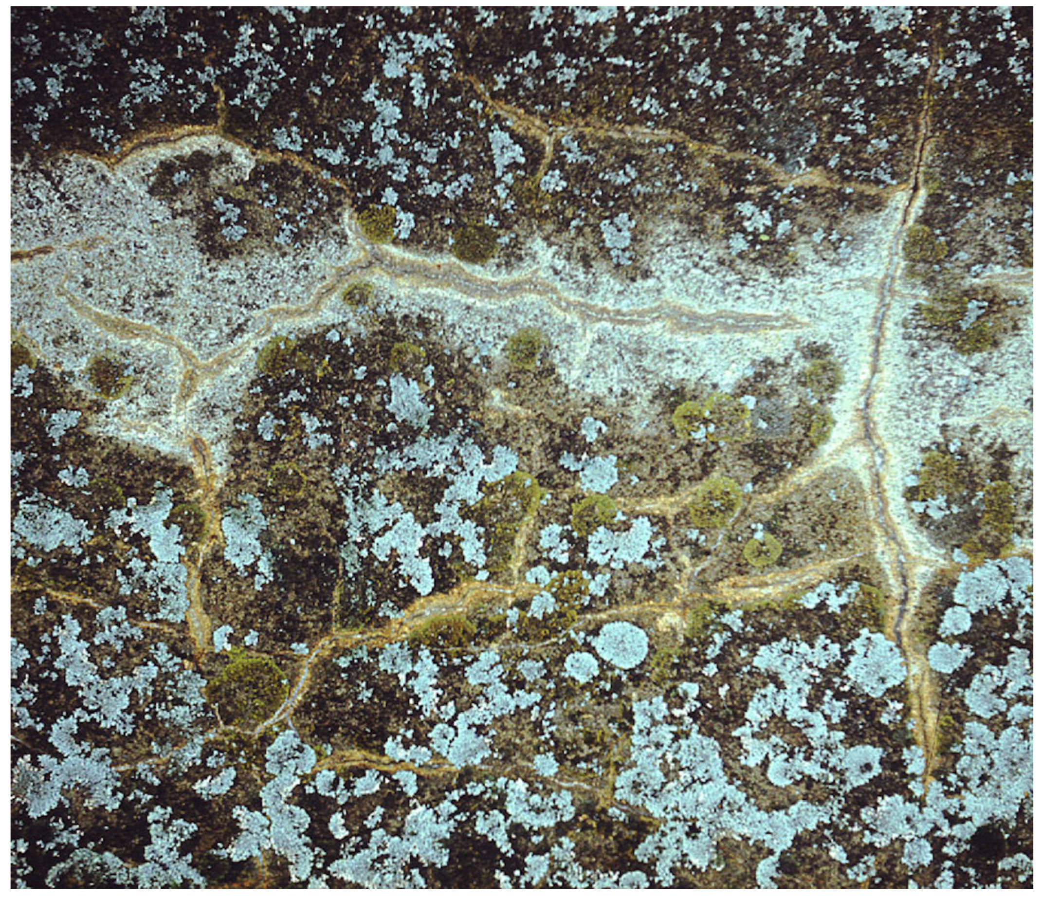 Philosophies 08 00007 g004 Philosophies 08 00007 g004