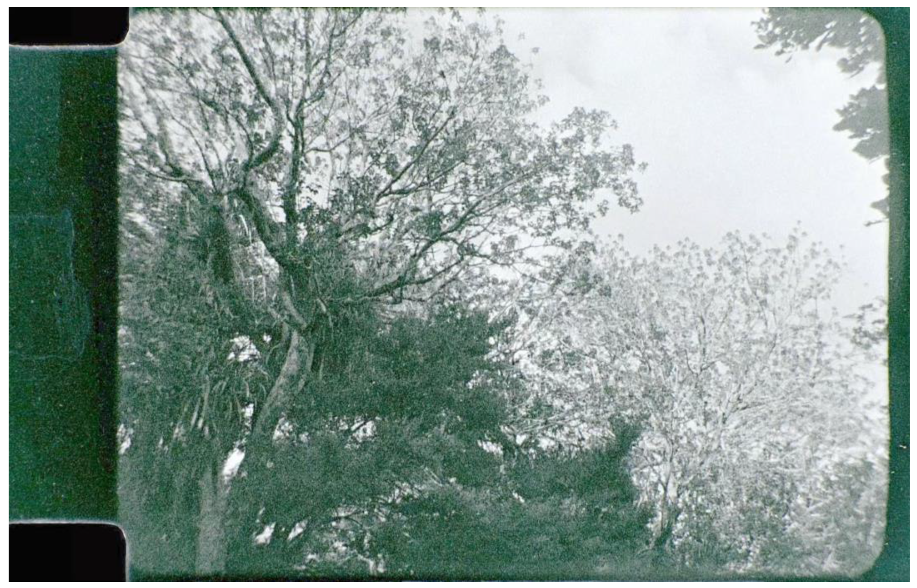 Philosophies 08 00015 g005 550