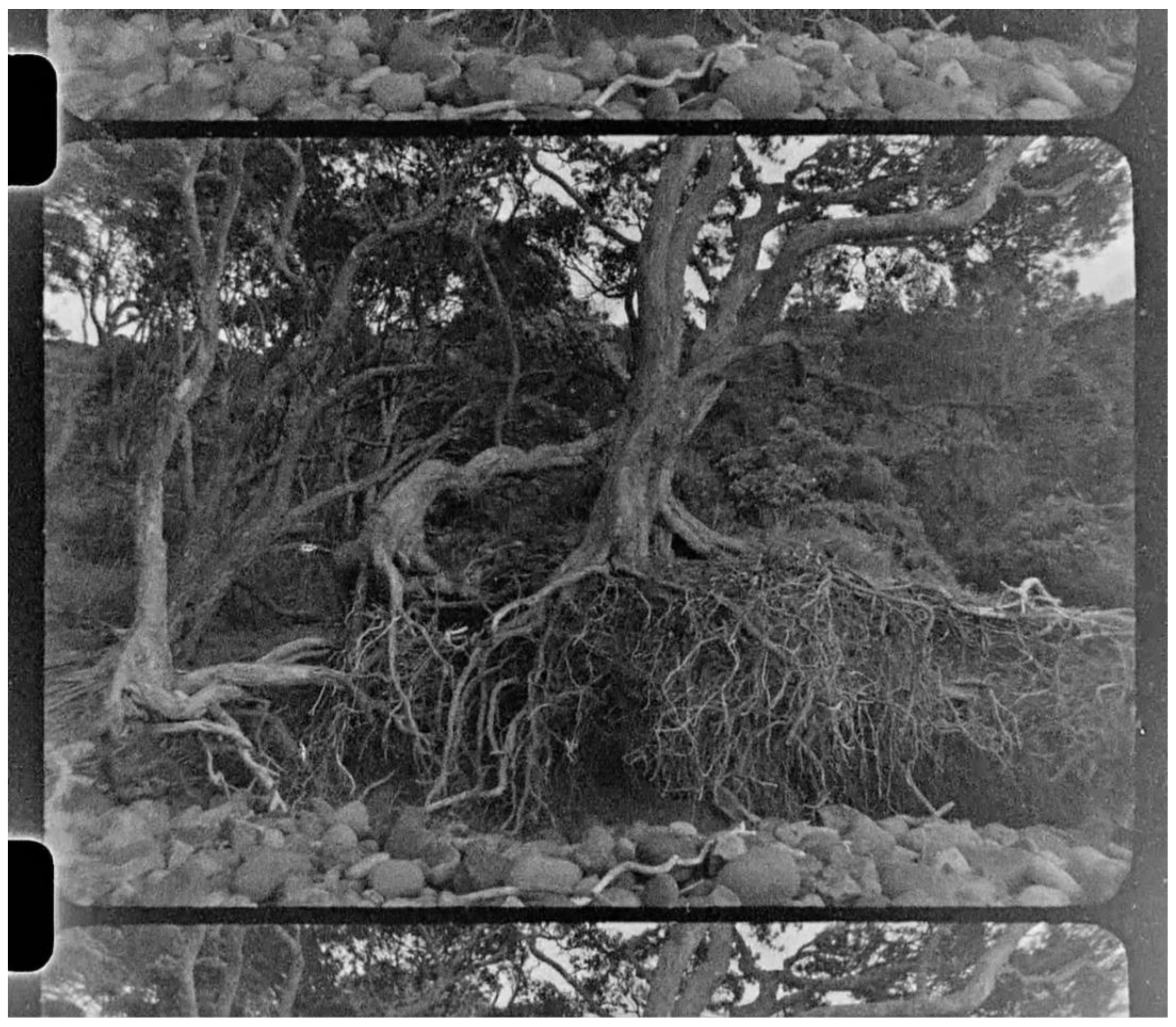 Philosophies 08 00015 g006 550