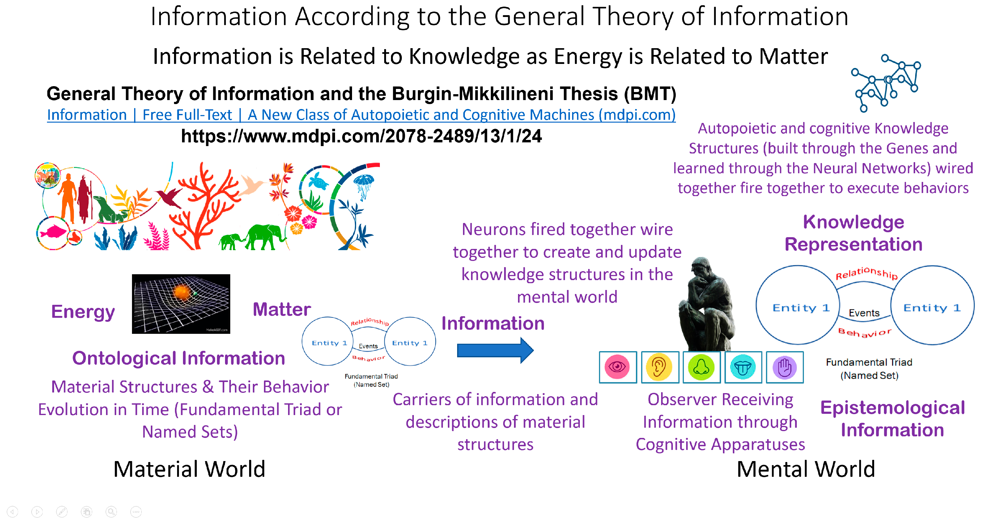 Genes, Free Full-Text