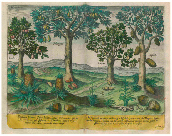 Philosophies 09 00087 g001