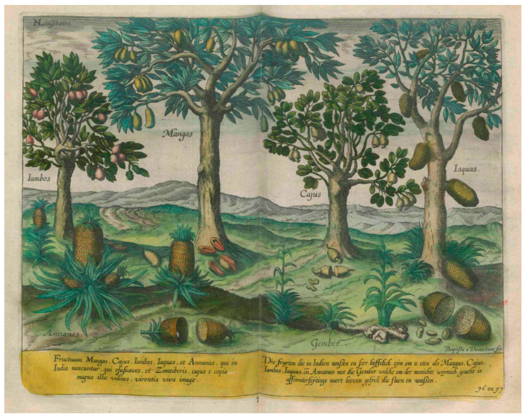 Philosophies 09 00087 g001