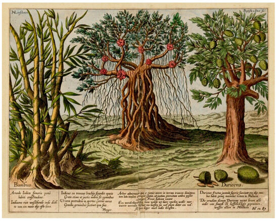 Philosophies 09 00087 g002