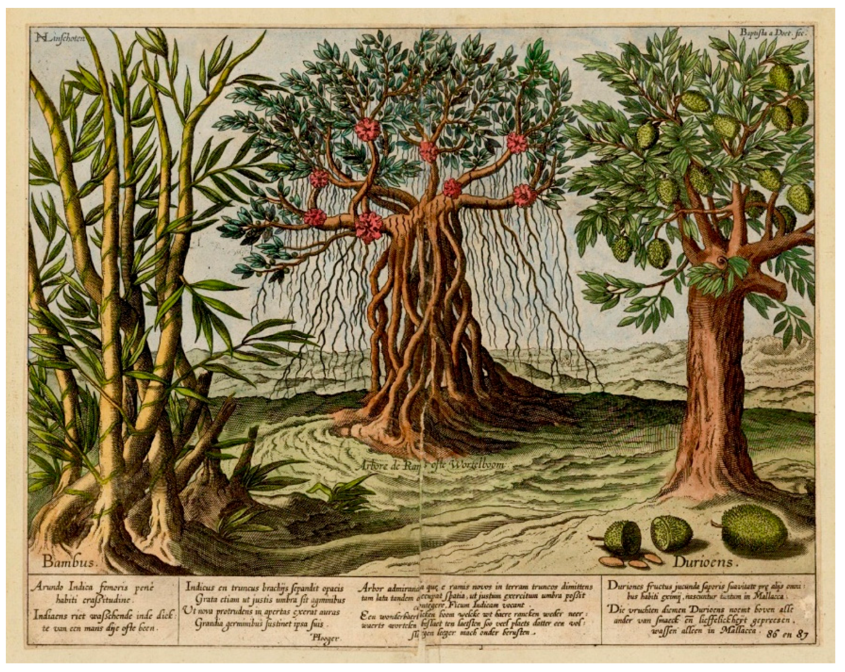 Philosophies 09 00087 g002