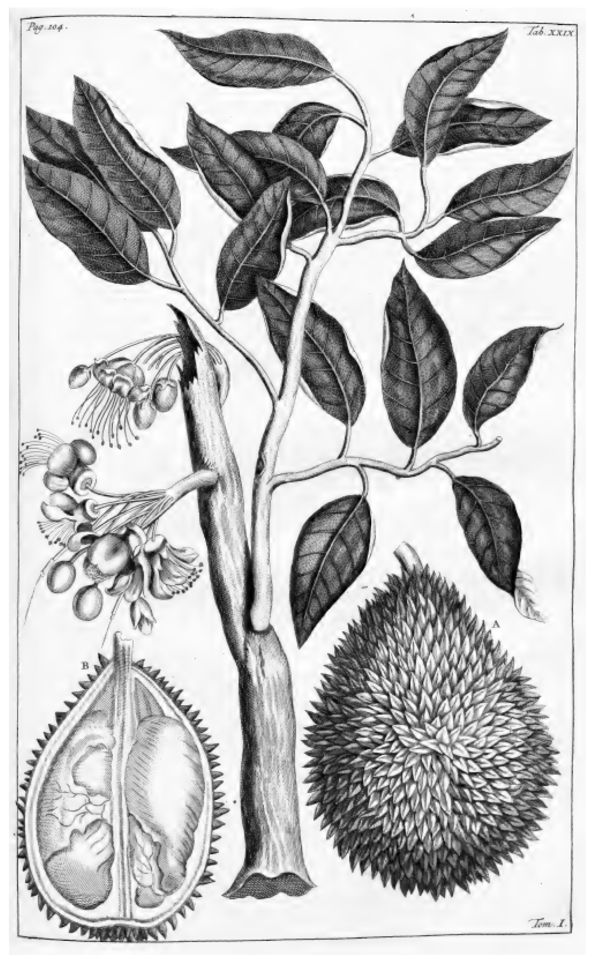 Philosophies 09 00087 g003