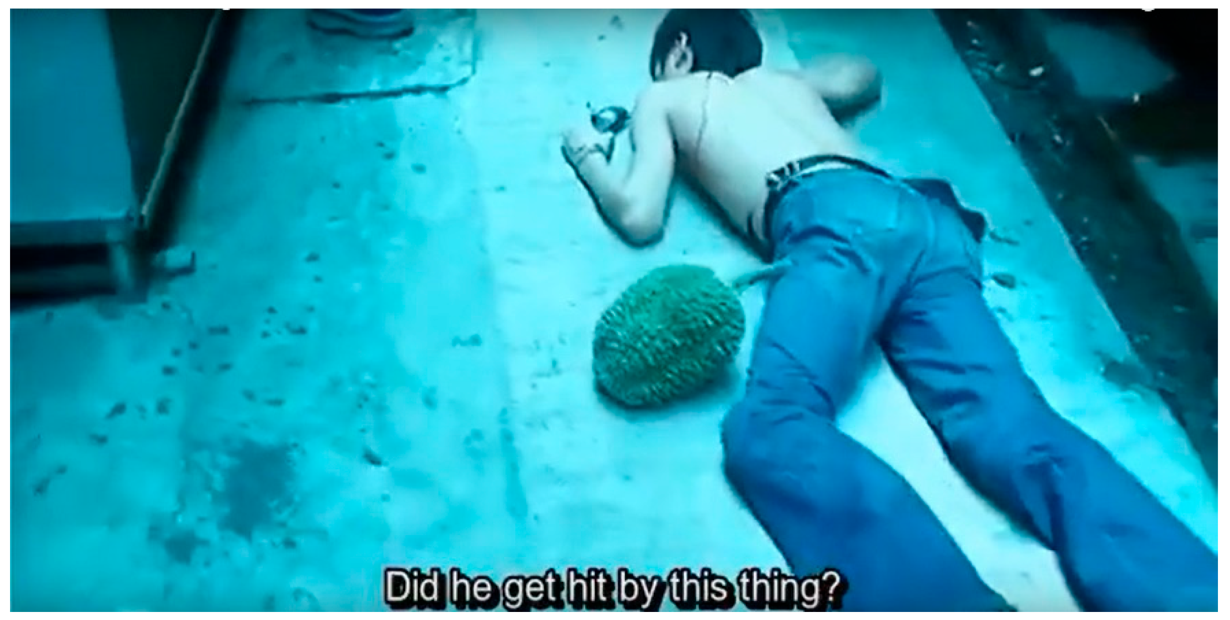 Philosophies 09 00087 g004