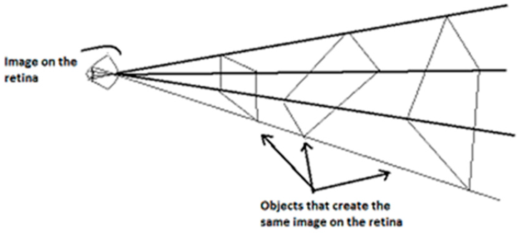 Philosophies 09 00167 g001