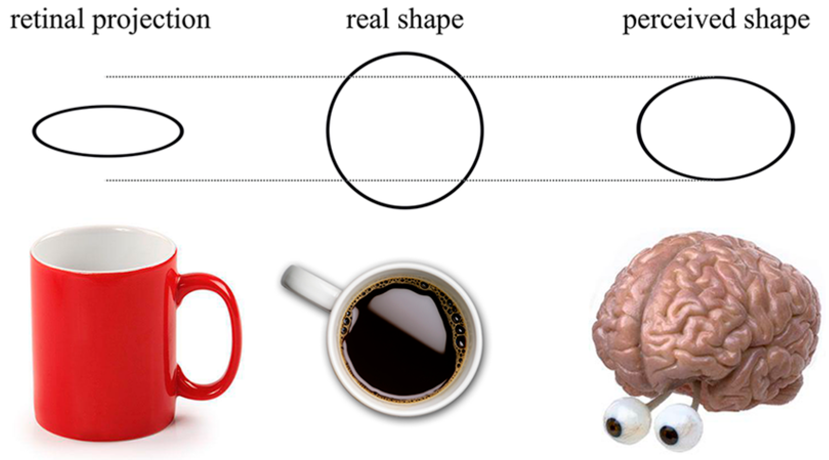 Philosophies 09 00167 g002