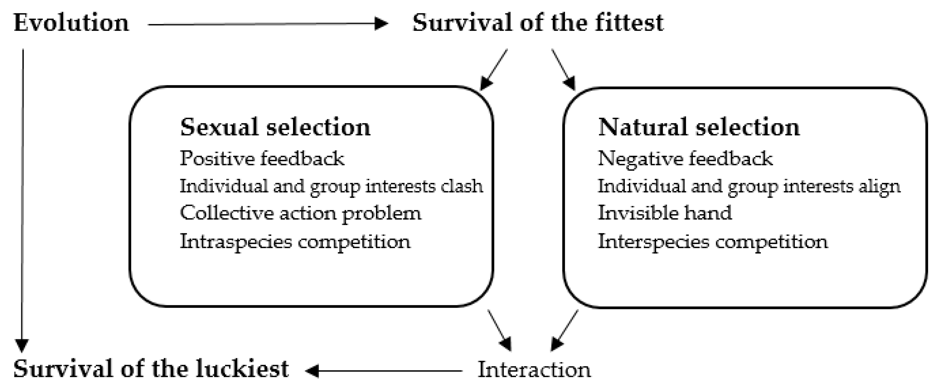 Philosophies 10 00058 g001