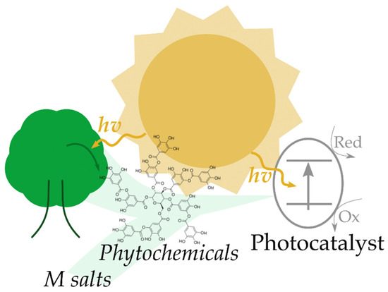 Green Synthesis of Heterogeneous Visible-Light-Active