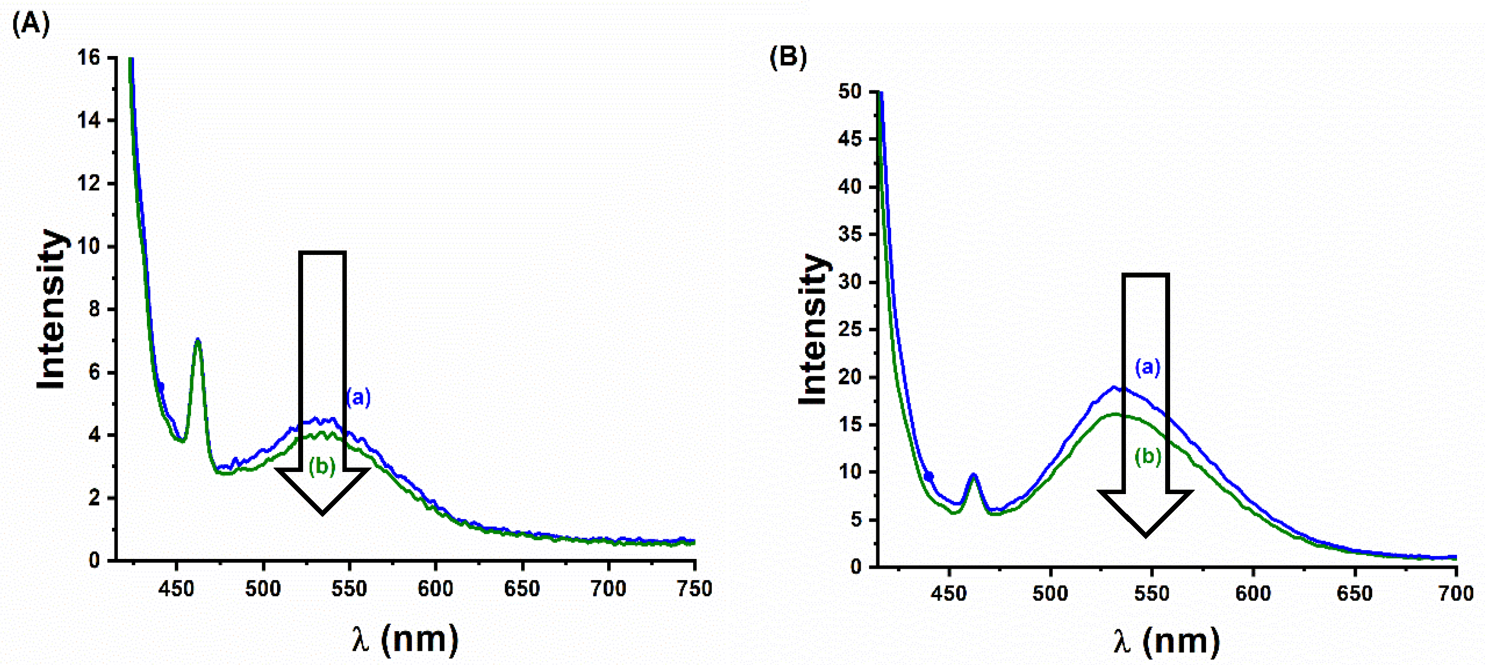 Photochem 01 00010 g013 Photochem 01 00010 g013