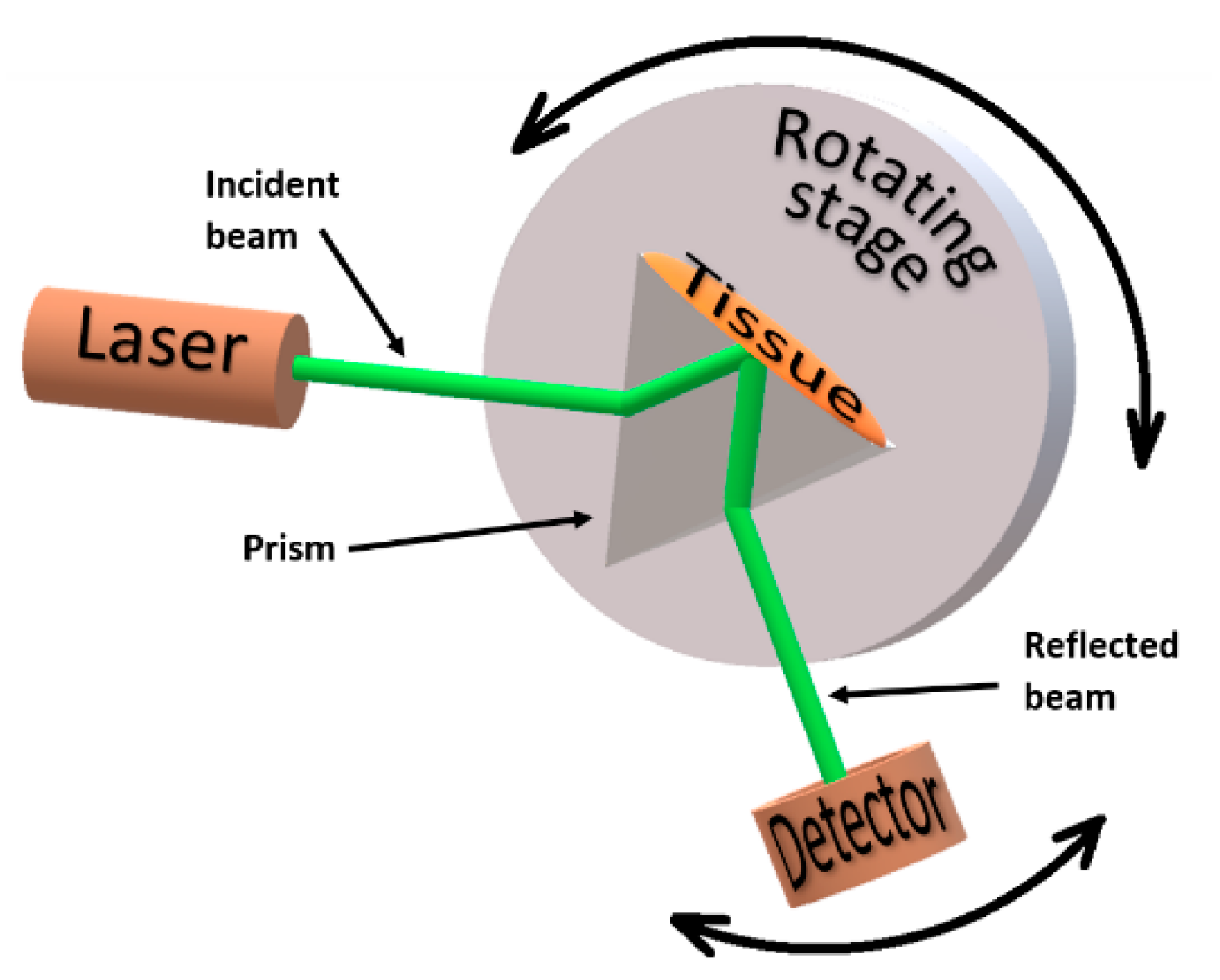 Photochem 01 00011 g001 Photochem 01 00011 g001