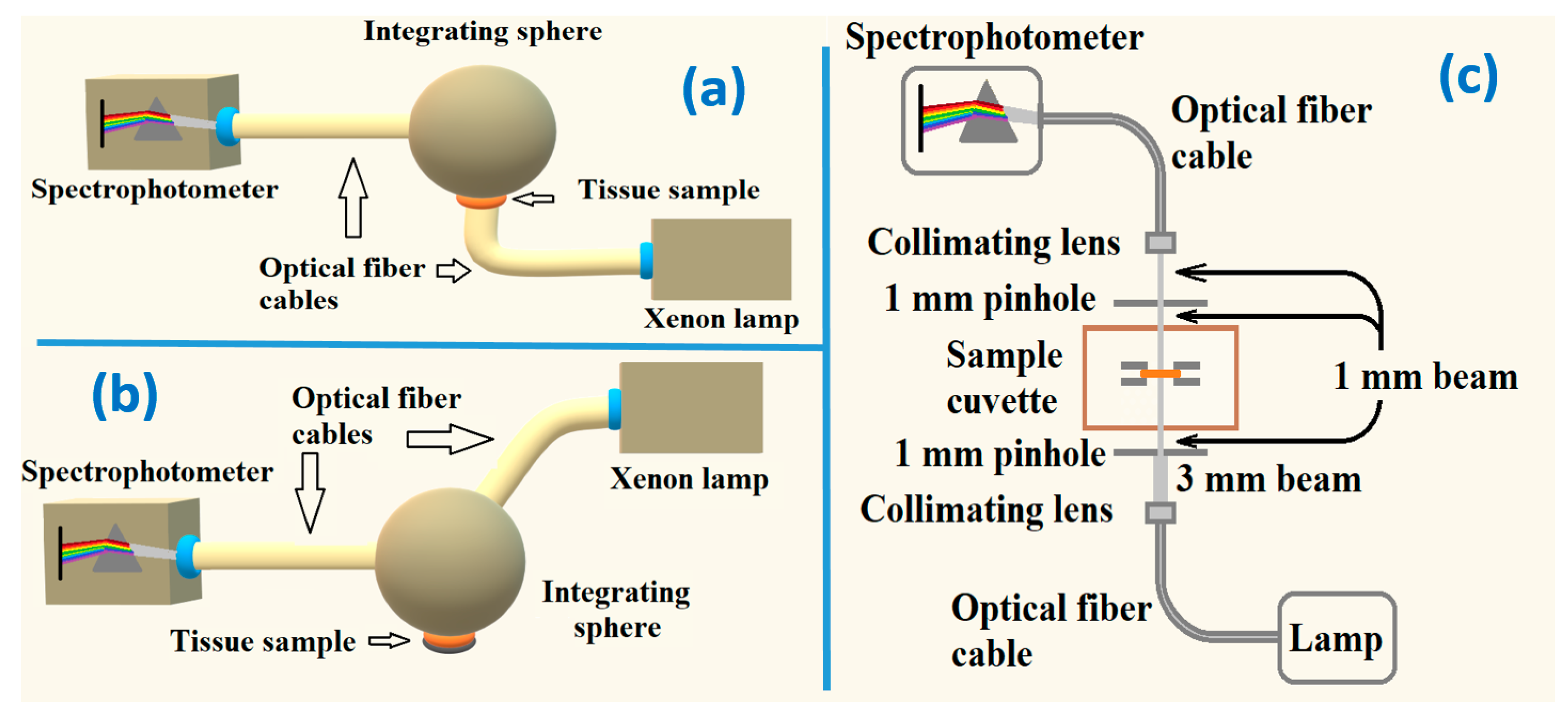 Photochem 01 00011 g003 Photochem 01 00011 g003