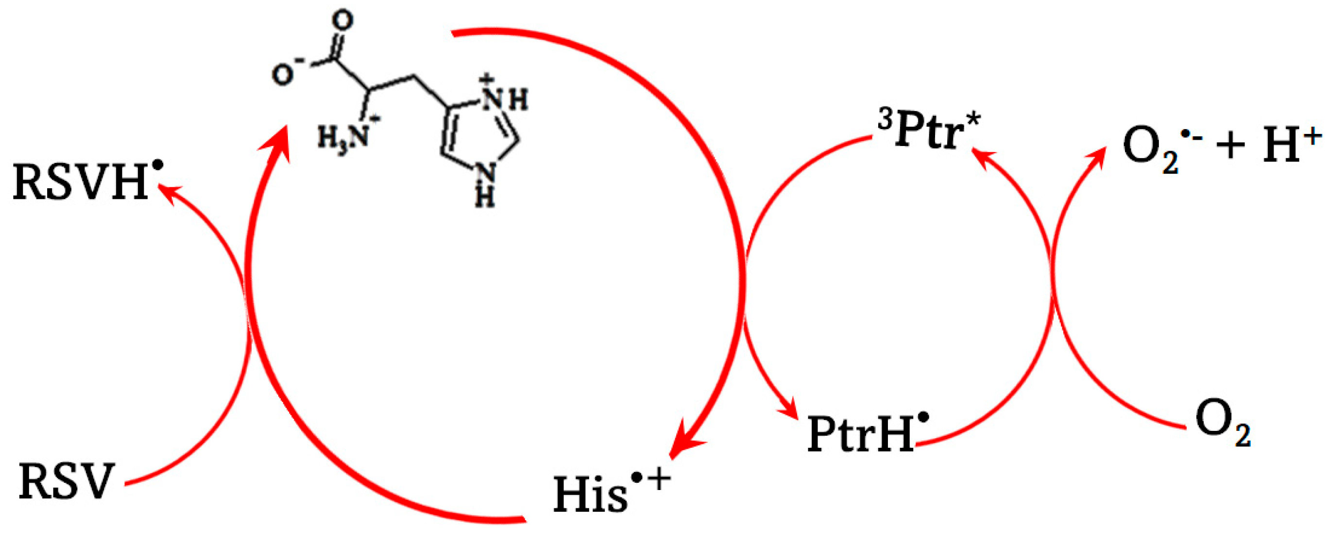 Photochem 01 00012 sch001