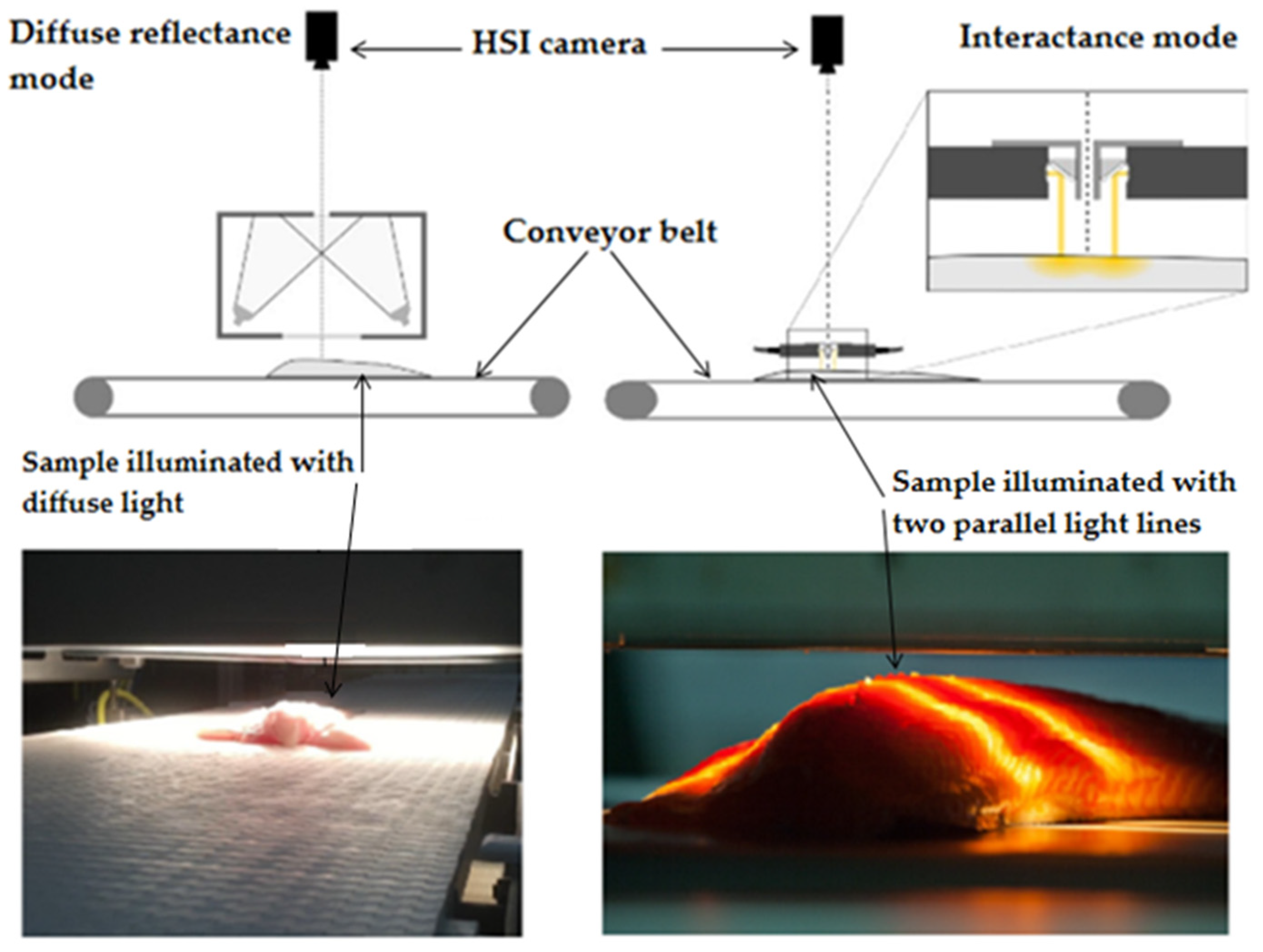 Photochem Free FullText Exploring the Potential of Fluorescence