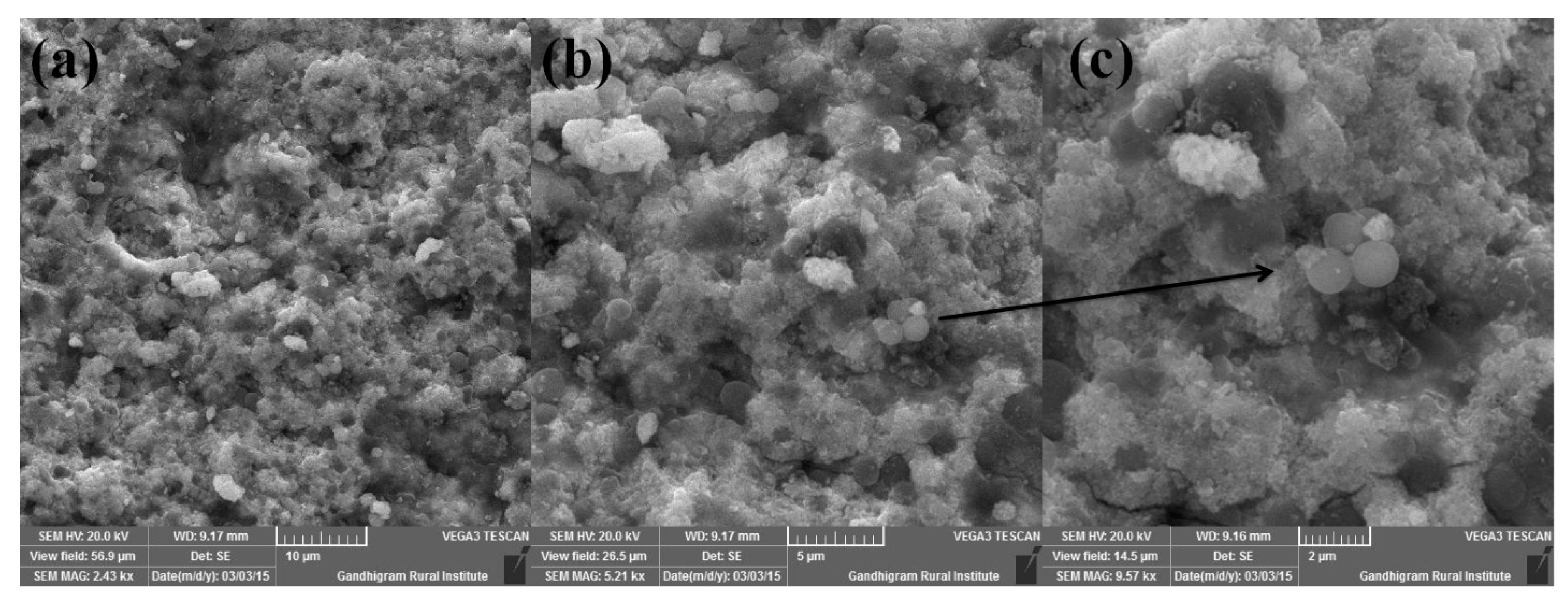 Photochem 01 00016 g004 550