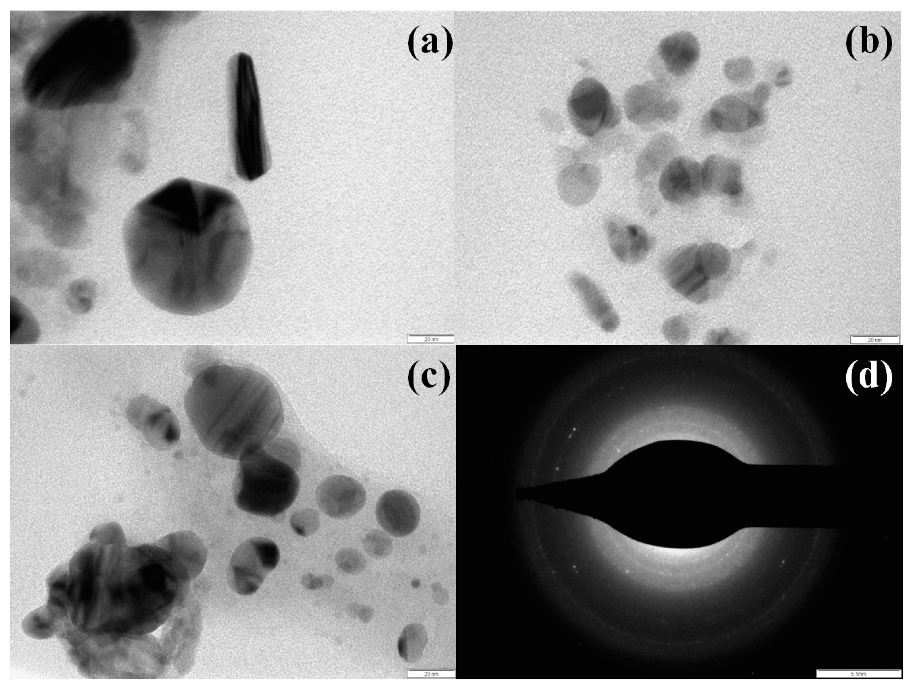 Photochem 01 00016 g006 550