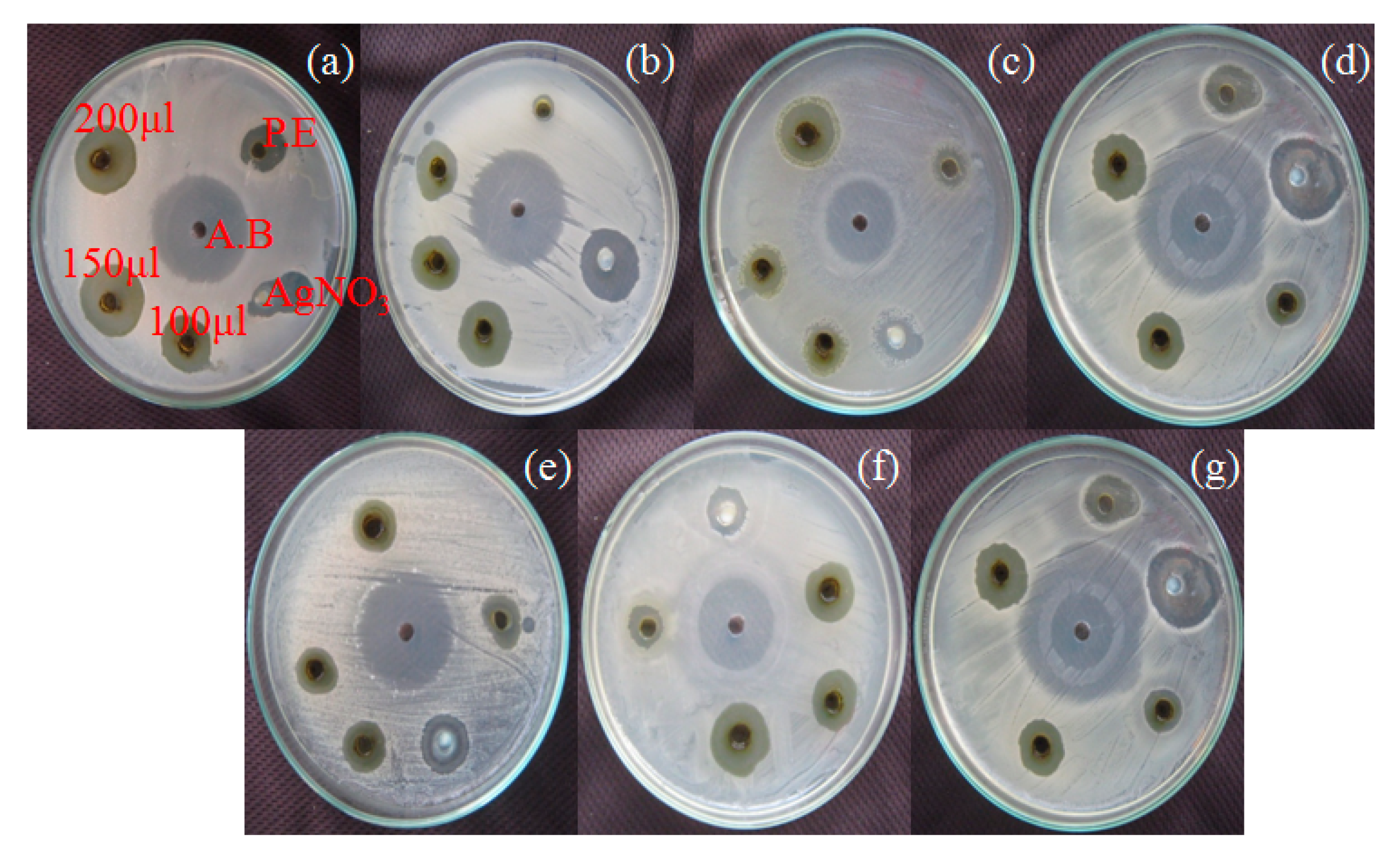 Photochem 01 00016 g011 550