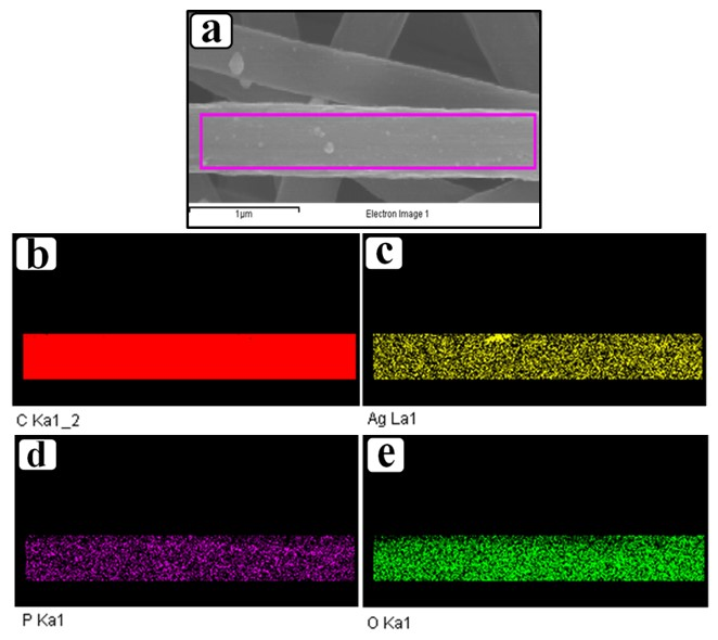 Photochem 01 00022 g003 550