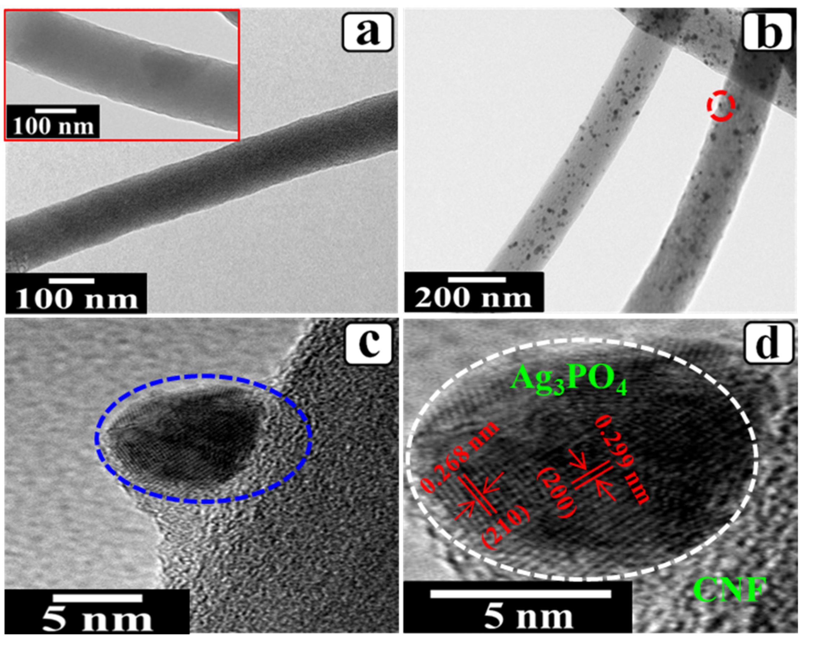 Photochem 01 00022 g005 550