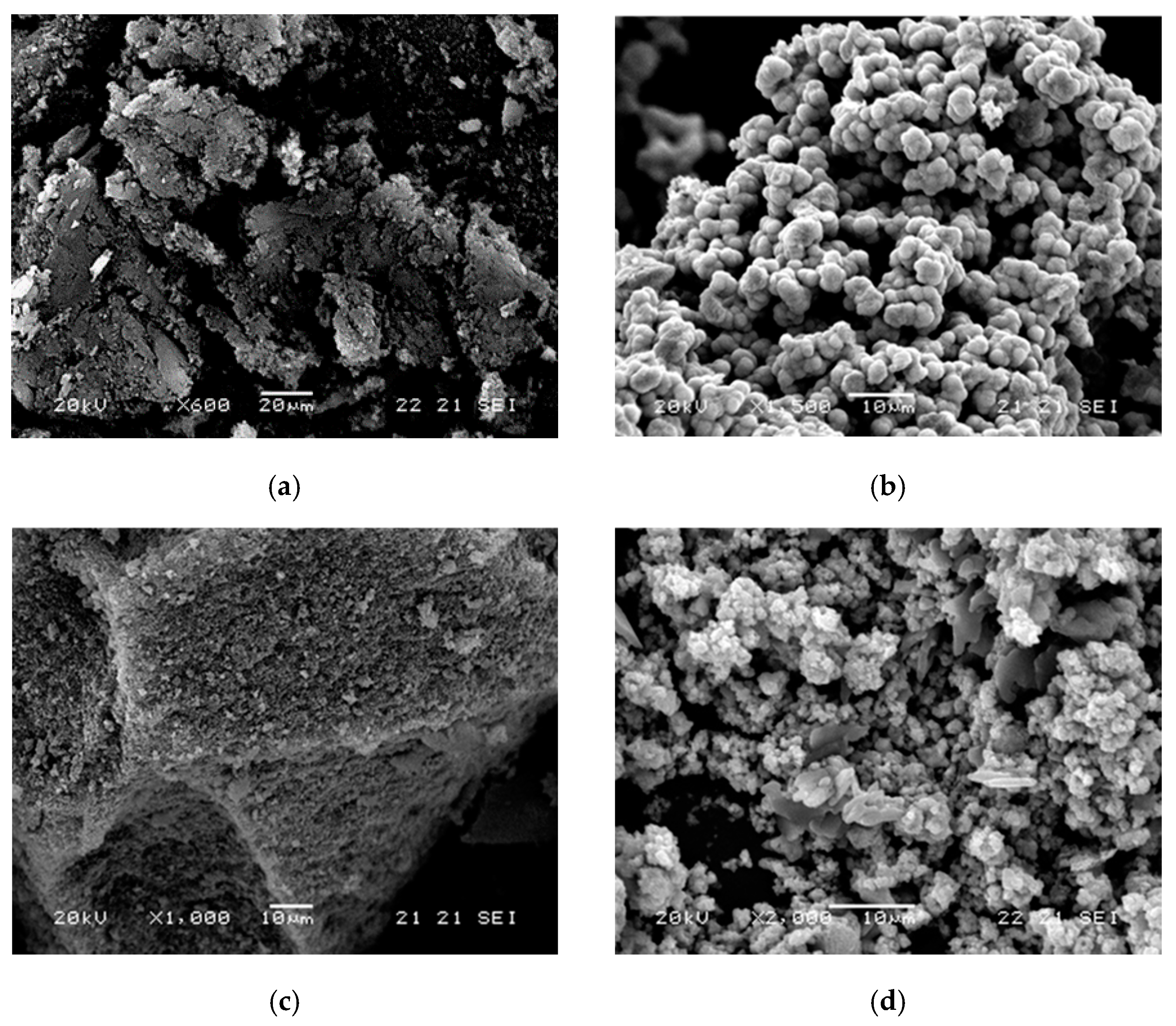 Photochem 01 00023 g003 550