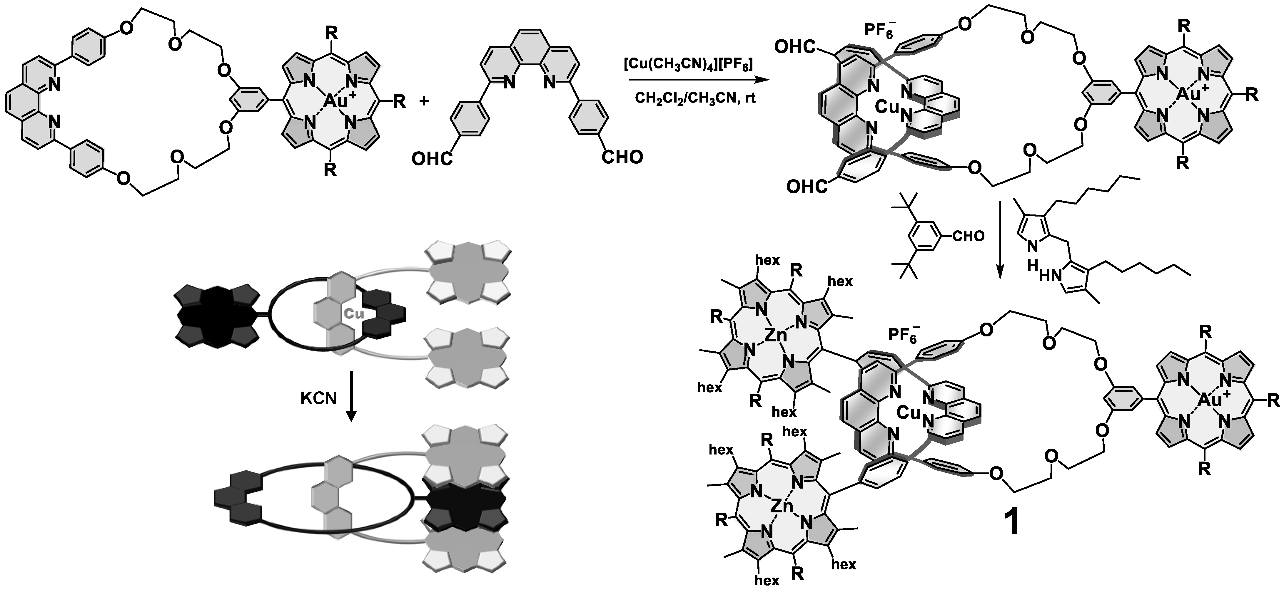Photochem 01 00025 g002
