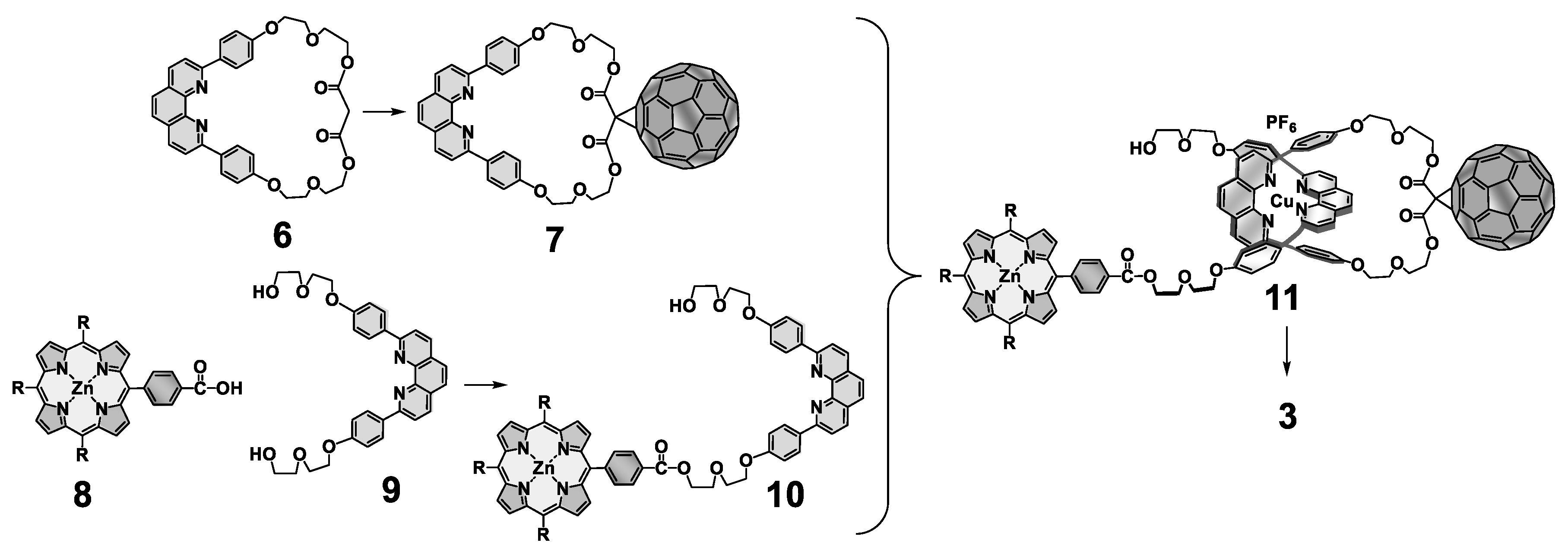 Photochem 01 00025 g005
