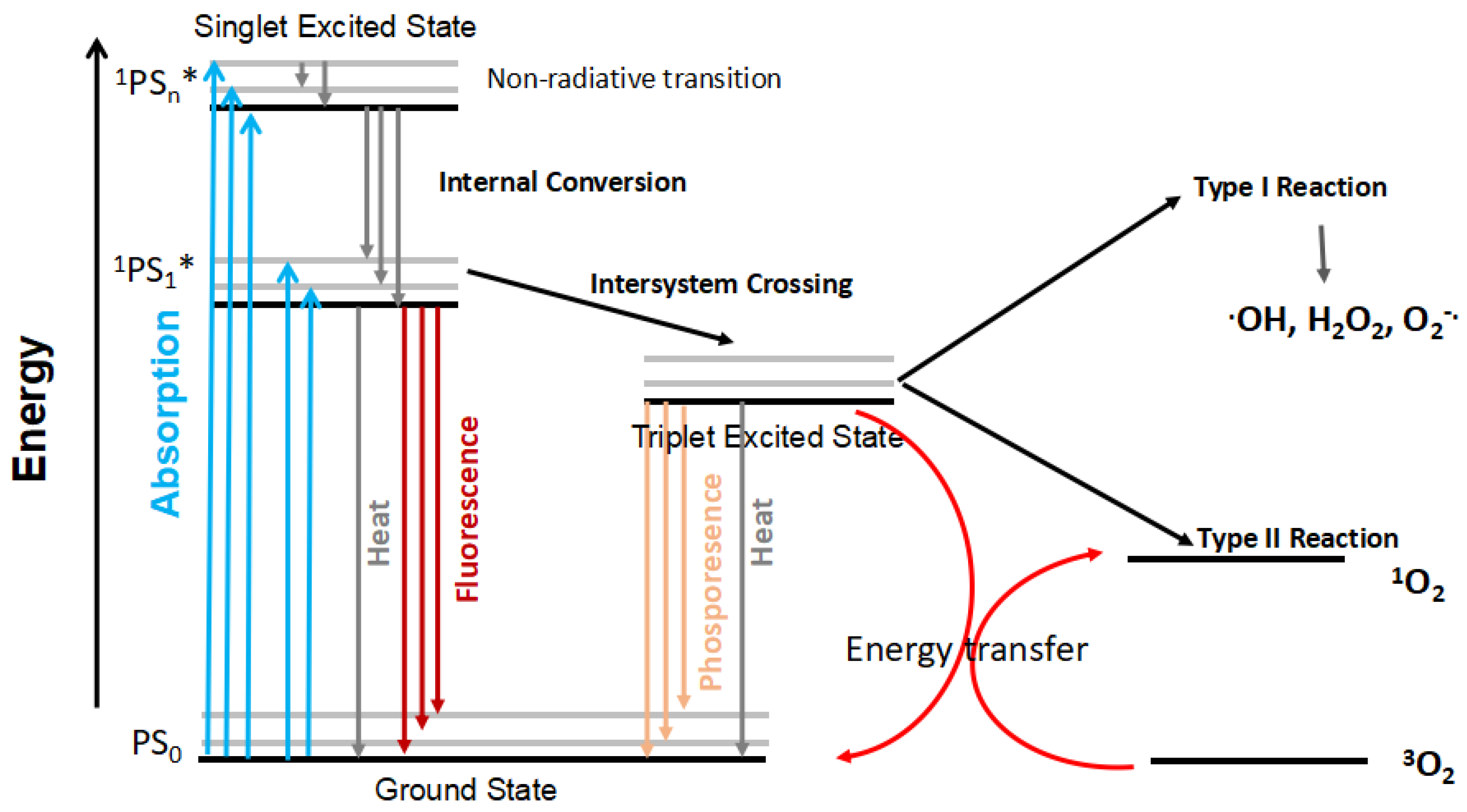 Photochem 01 00026 g001