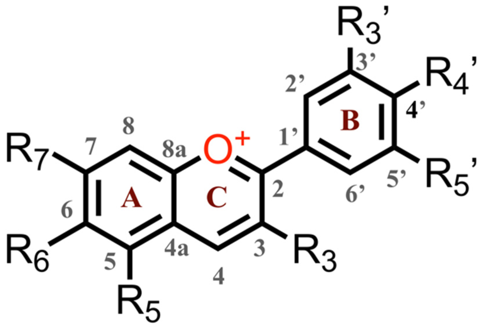 Photochem 02 00003 ch001 Photochem 02 00003 ch001