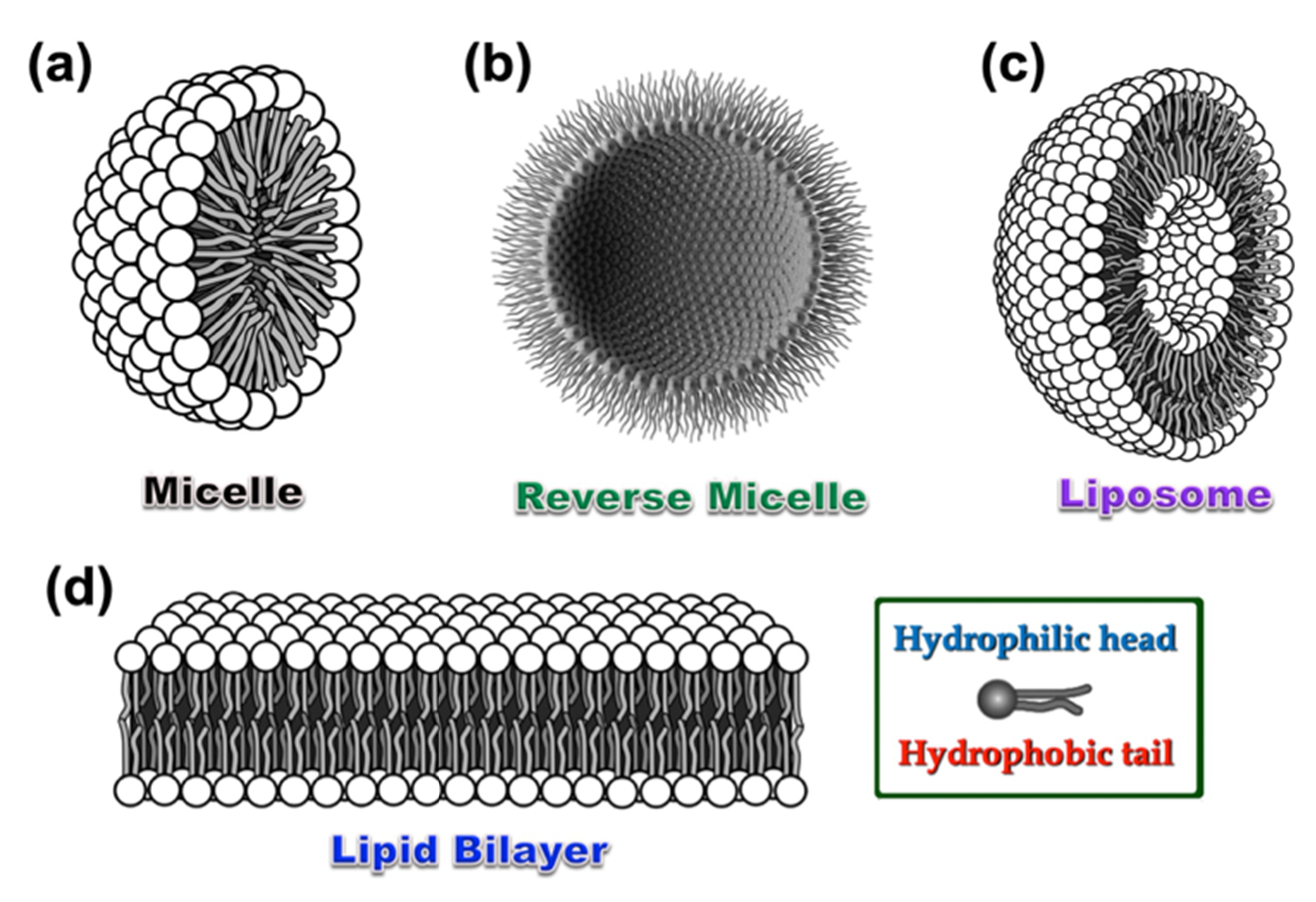 Photochem 02 00004 g001 Photochem 02 00004 g001