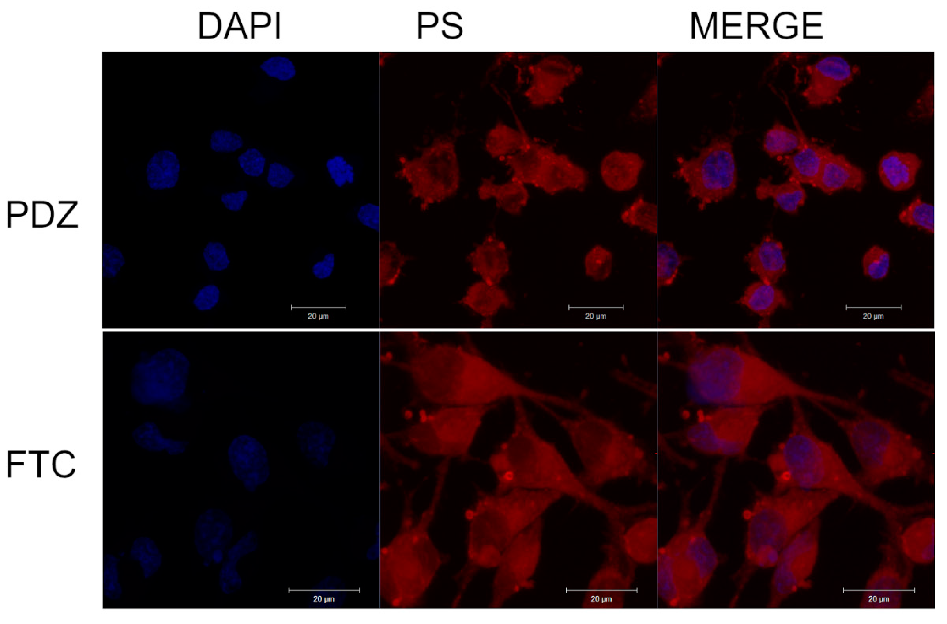 Photochem 02 00013 g003