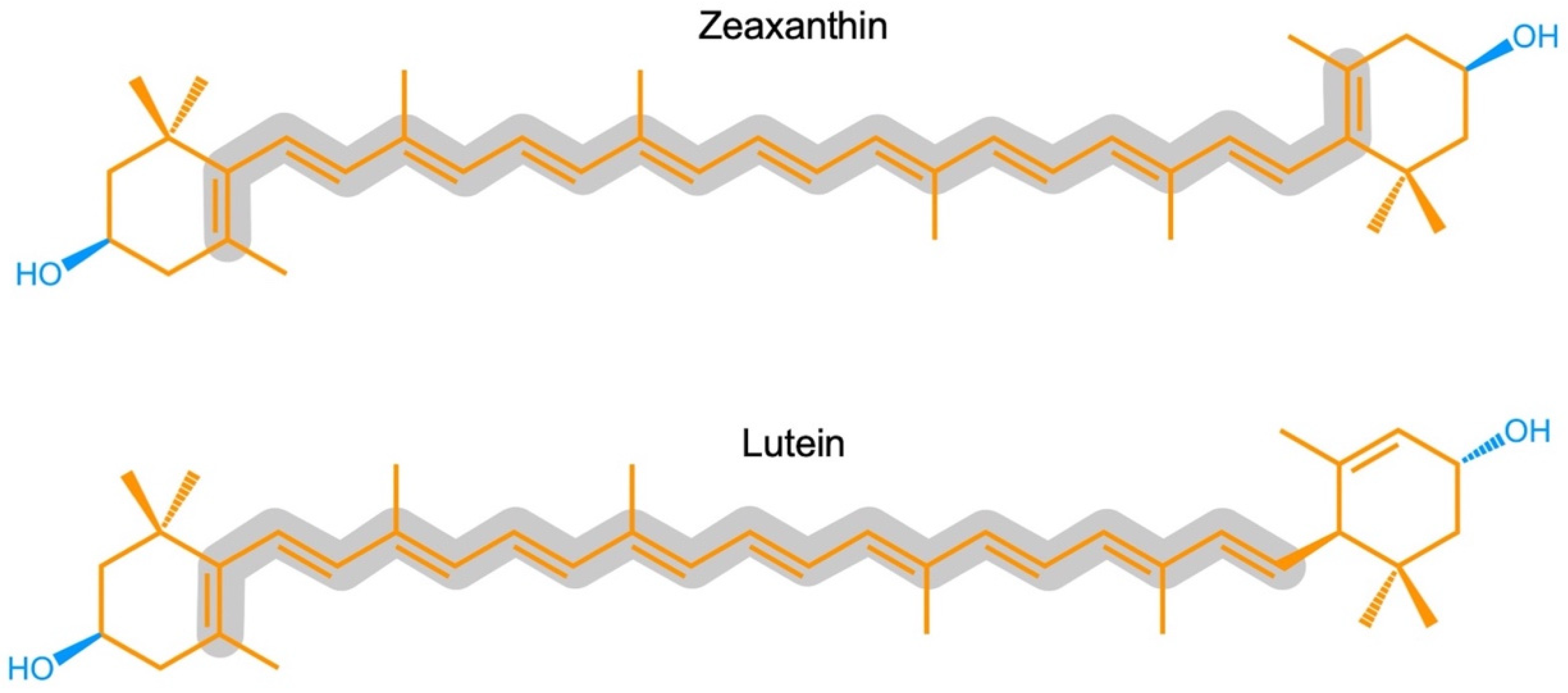 Photochem 02 00022 g001