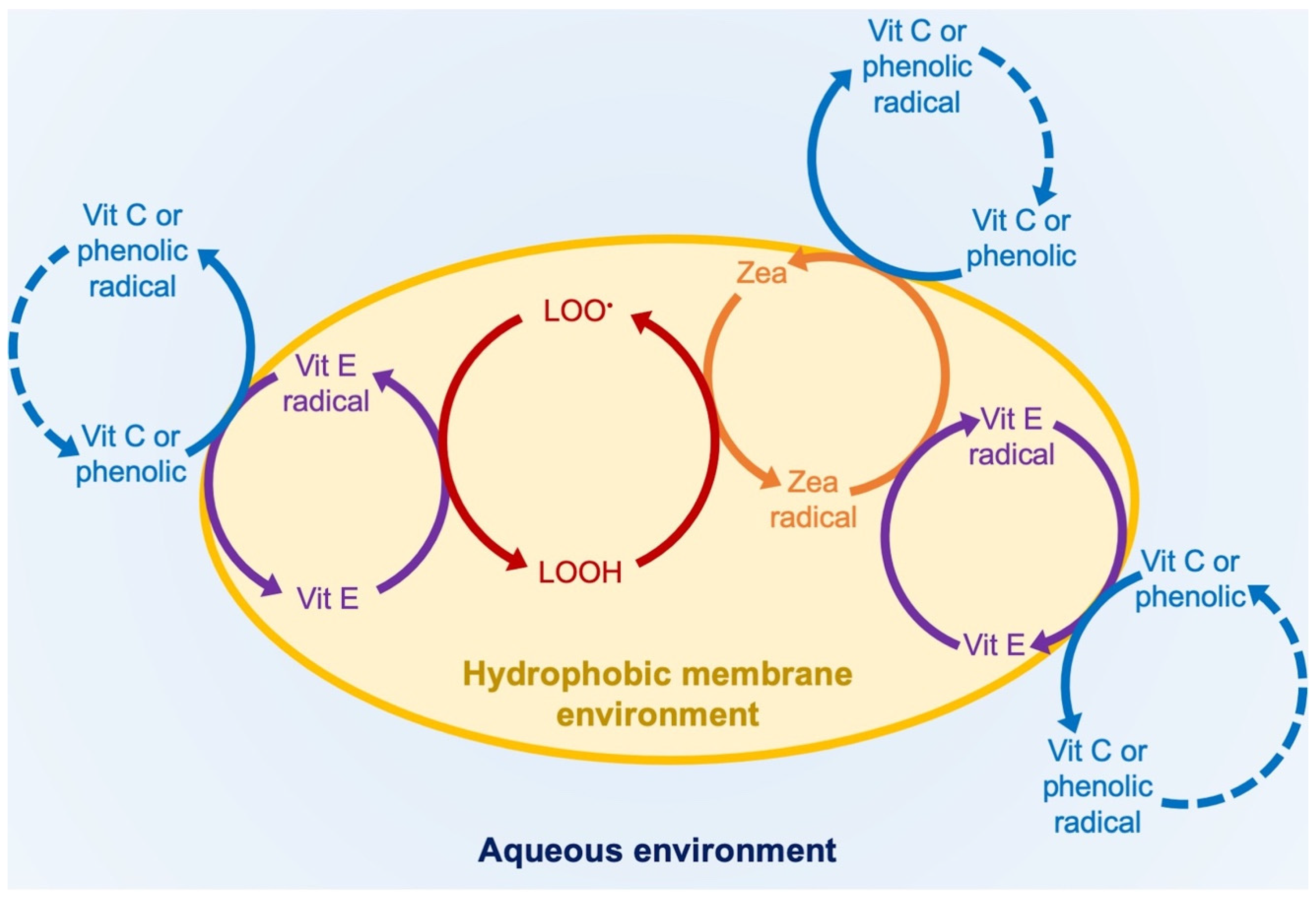 Photochem 02 00022 g007
